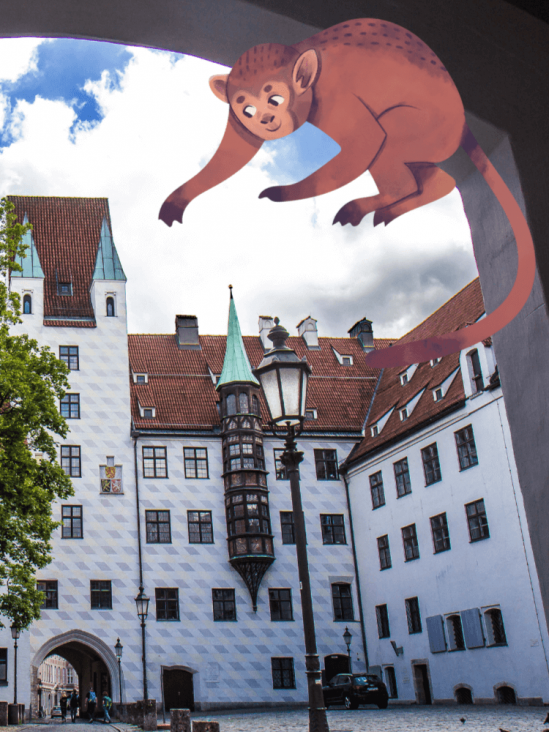 Die Geschichte vom Affen im Alten Hof