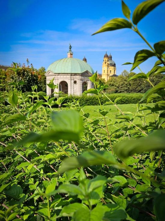 Theatinerkirche und Hofgarten in München