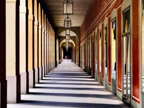 Schattenspiel im Hofgarten