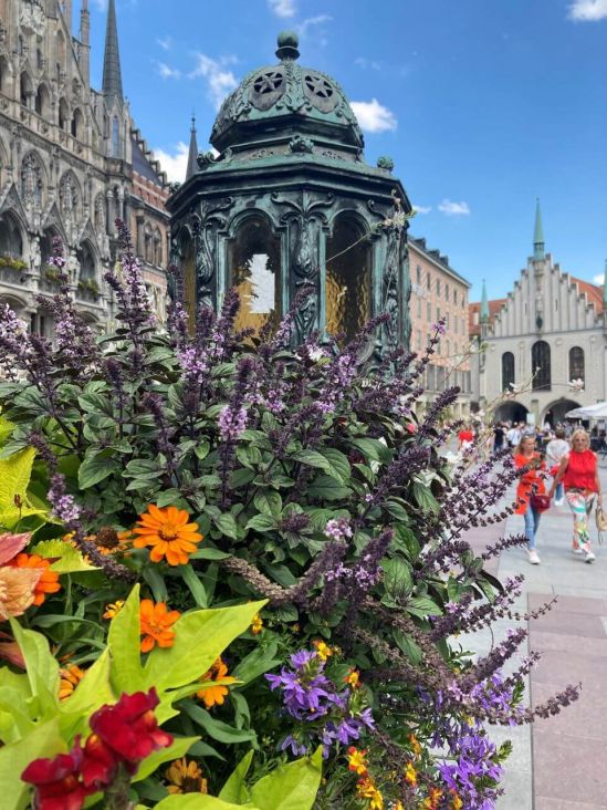 Hübsche Sommerblumen rund um die Mariensäule in München