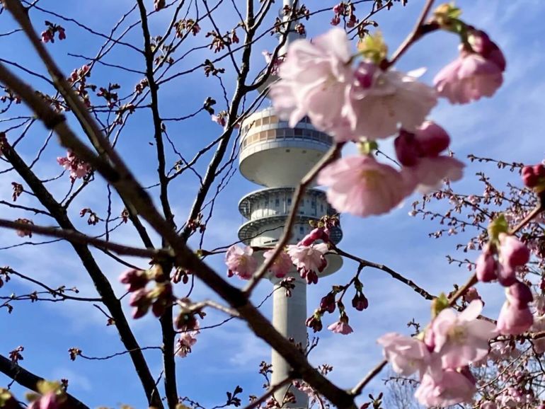 Munich Olympic Park in Spring